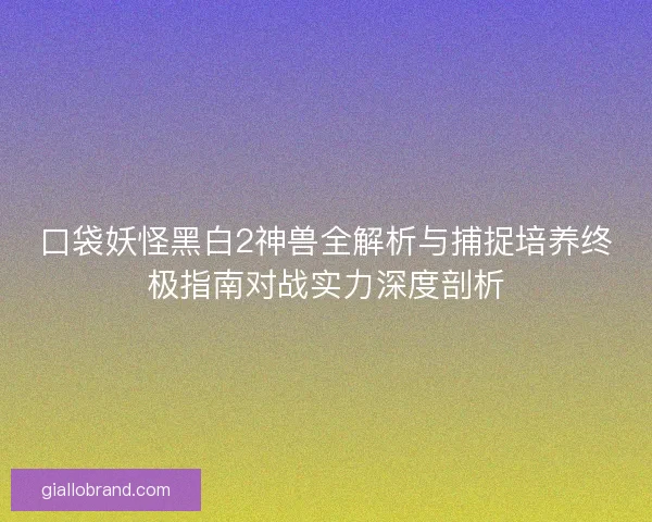 口袋妖怪黑白2神兽全解析与捕捉培养终极指南对战实力深度剖析